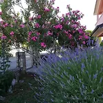 Vesna Appartement